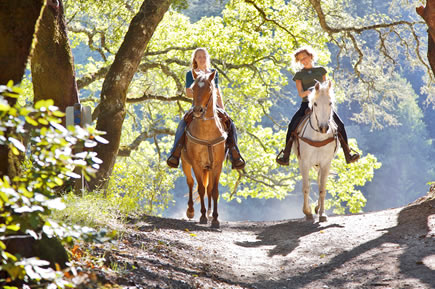 Gef&uuml;hrte Ausritte