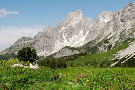 Bischofsm&uuml;tze in Filzmoos