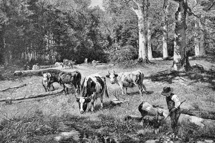 Die Geschichte vom Filzmooser Kindl