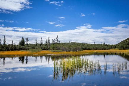 Gef&uuml;hrte Wanderung auf den Gerzkopf