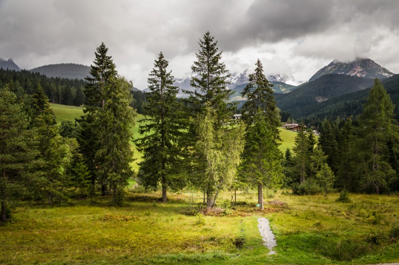 Der kleine Baumkreis beim Neubergerhof