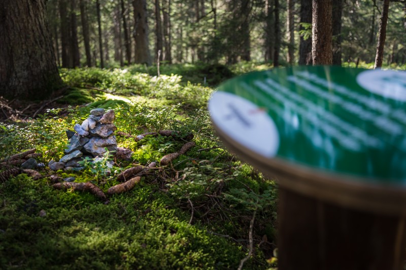 Der Reinigungsplatz im Hachauer Wald