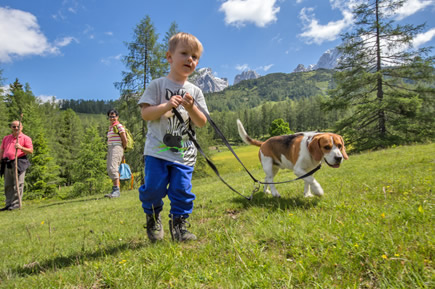 Verbringen Sie einen erholsamen Wanderurlaub mit Ihren Hund in Filzmoos