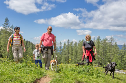 Genusswanderung mit Ihrem Hund