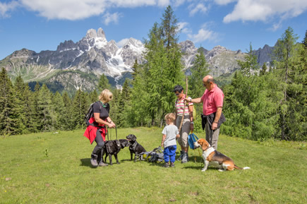 Wanderung mit Hunde in Filzmoos