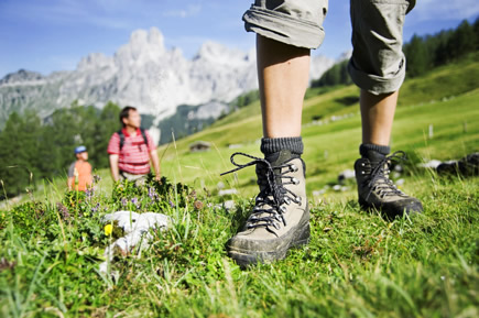 Wanderung mit der Nutzung des Filzmooser Wanderbus