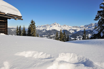 Traumhaftes Winterpanorama