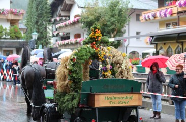 filzmooser-almabtrieb