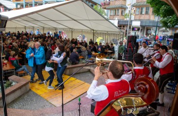 filzmooser-tanzlmusi-beim-almabtrieb