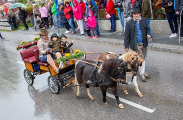 miniponygespann-vom-krahlehenhof