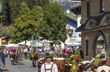 almabtrieb-in-filzmoos