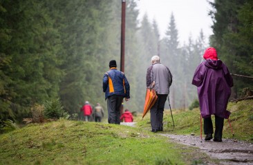 wandern-bei-der-wander-wm-filzmoos