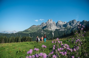 filzmoos_hofalmgebiet1