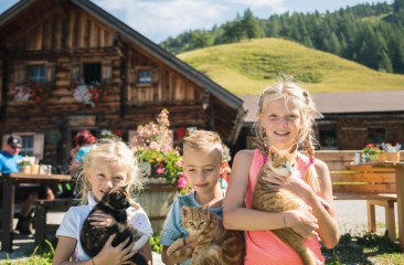 filzmoos_hofalmgebiet60