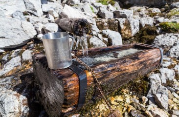 jungbrunnen-kampenbrunn