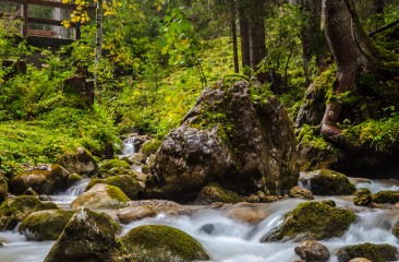 kleiner-baumkreis-beim-neubergerhof