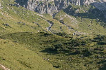 wandern_aualm_familie4