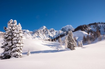 winterlandschaft1