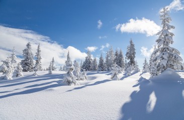 winterlandschaft2