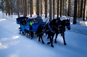 pferdeschlitten2