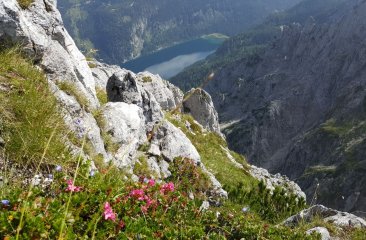 Blick auf Gosausee