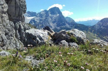 am-fusse-der-bischofsmuetze