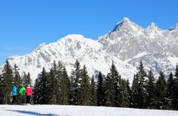 ausblick-am-rossbrand