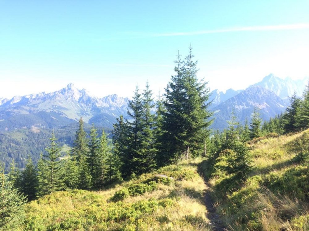 Sonntags-Wanderung auf den Roßbrand