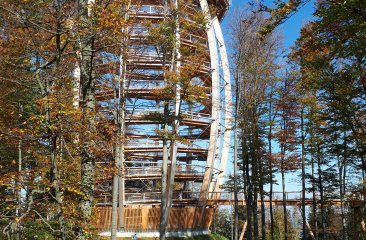 aussichtsturm-baumwipfelpfad