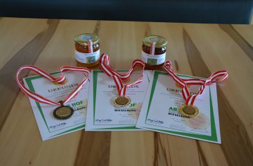 auszeichnungen-von-alexander-hoelzl