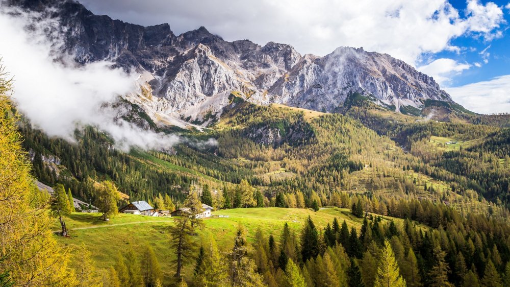 Fiaker Schorsch und seine Bergheimat Hachau