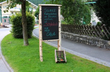 bauernherbst-spruchtafel-2