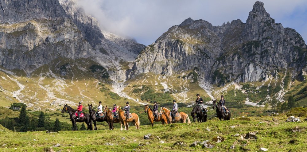 Hoch zu Ross oder doch lieber gemütlich mit dem Almi unterwegs?