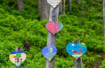 bemalte-herzen-der-volksschule