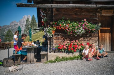 bergfruehling-in-filzmoos1