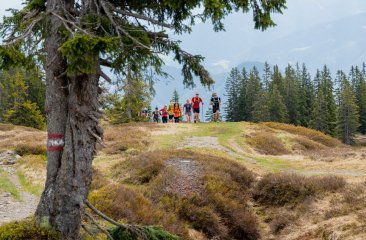 bergsportangebot_filzmoos3