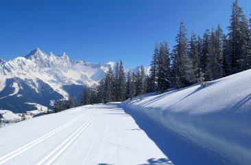 beste-bedingungen-auf-der-hoenloipe