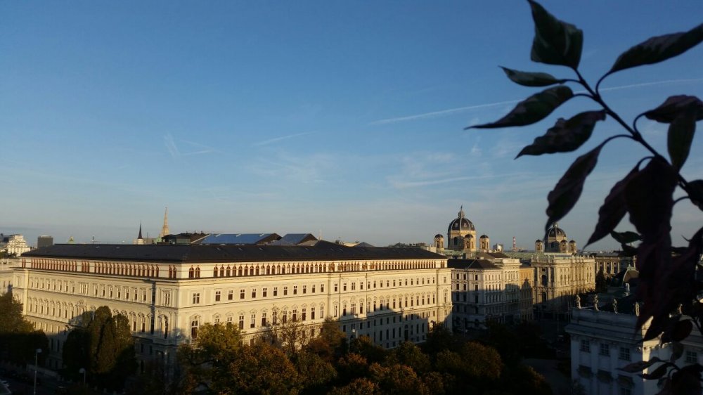 betriebsausflug-wien