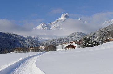 bischofsmuetze-filzmoos