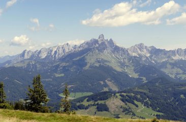 bischofsmuetze-neuberg1