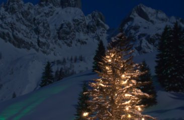 bischofsmuetze-weihnachtsbaum