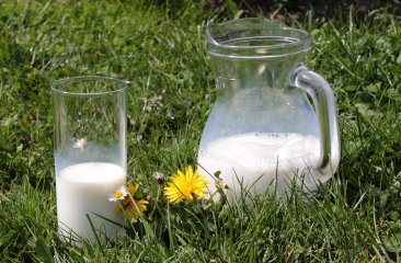 buttermilch-natur