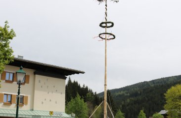 der-maibaum-steht