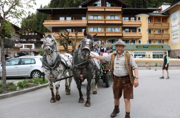 der-maibaum-wird-gebracht