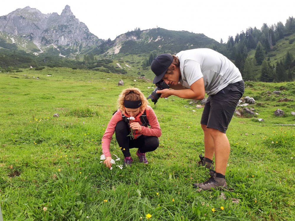 detailaufnahme-kraeuter-sammeln