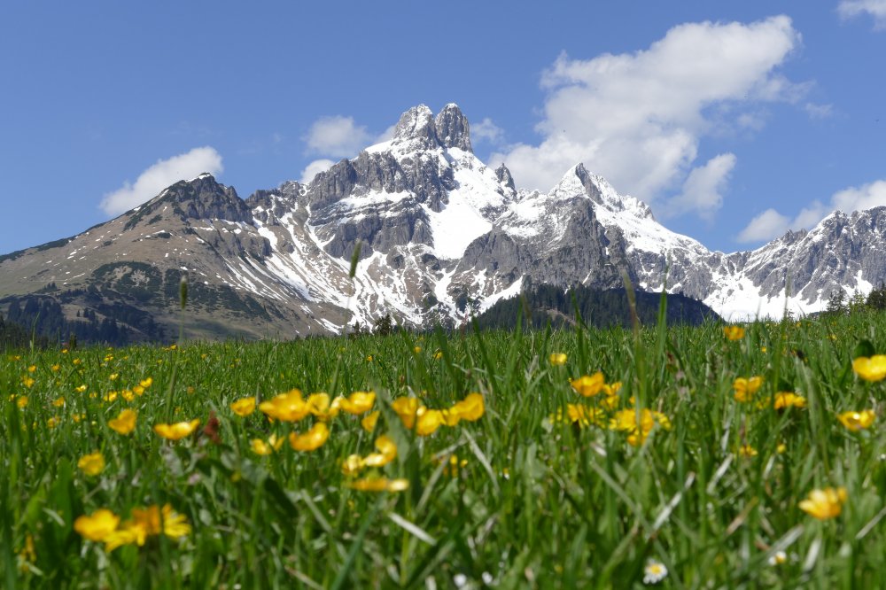 Die Natur mit allen Sinnen spüren