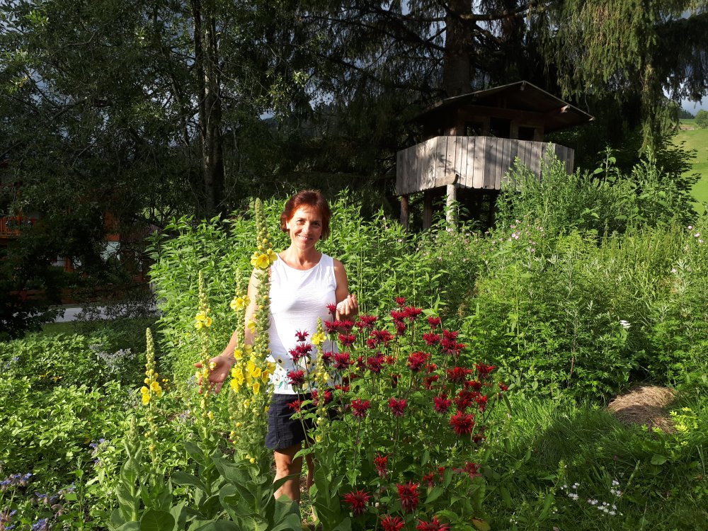 Kräuter-Workshop mit Elisabeth Laubichler