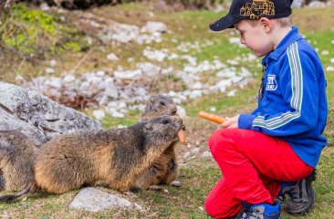 erlebnisweg-bachlalm