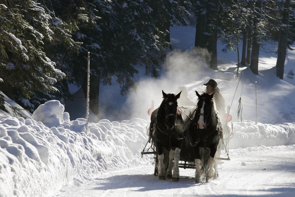 Fiaker Schorsch mit seiner Dankbarkeit über den Filzmooser Ortsteil Hinterwinkl