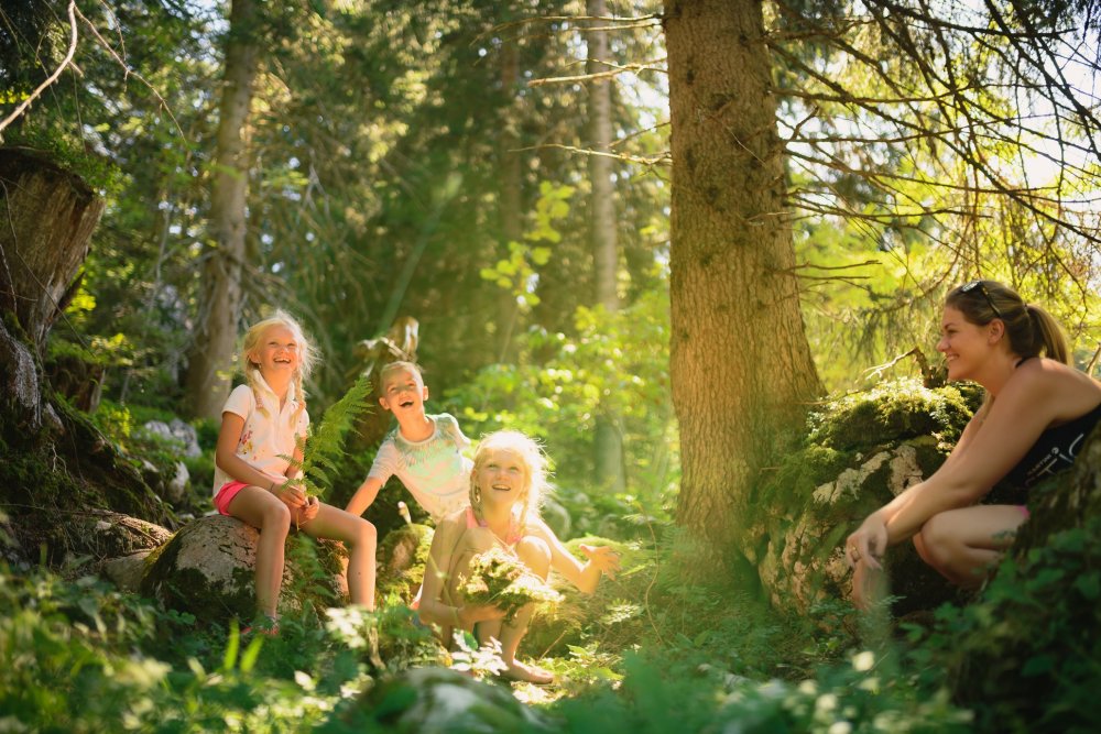 filzmoos_hofalmgebiet-salzburger-sportwelt2